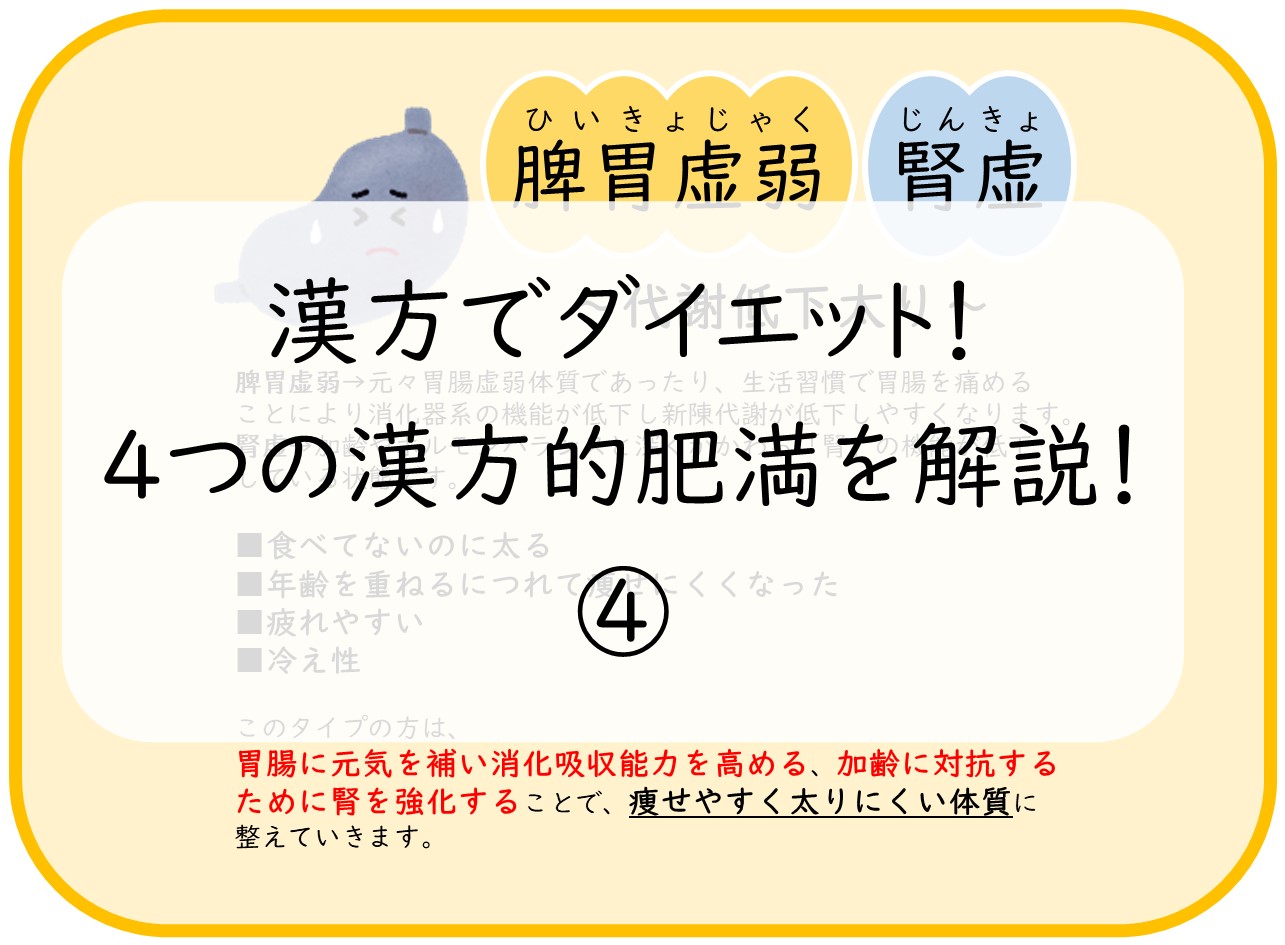 漢方でダイエット！4つの漢方的肥満を解説！④ - サエラ薬局